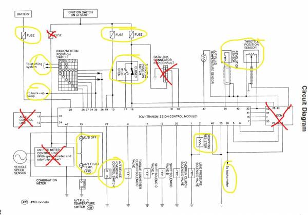 Wiring Diagram Nissan Navara D22 - Home Wiring Diagram